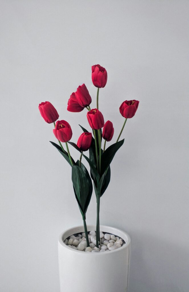 ananthu-selvam-62saZ_T5AP0-unsplash
