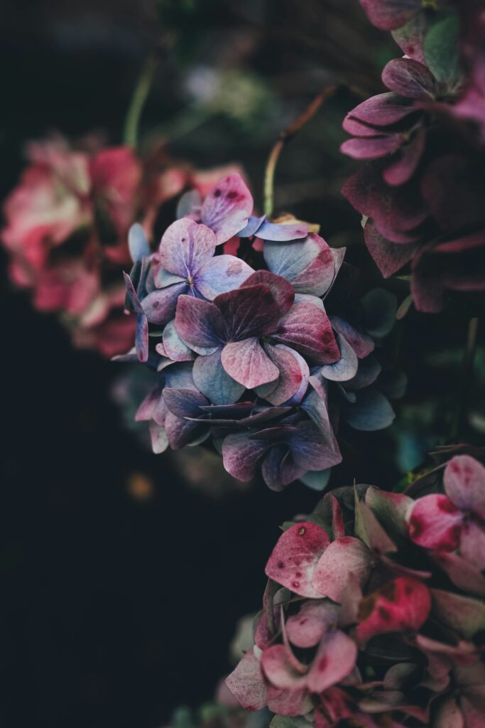 annie-spratt-vs6a4EHj_Ro-unsplash