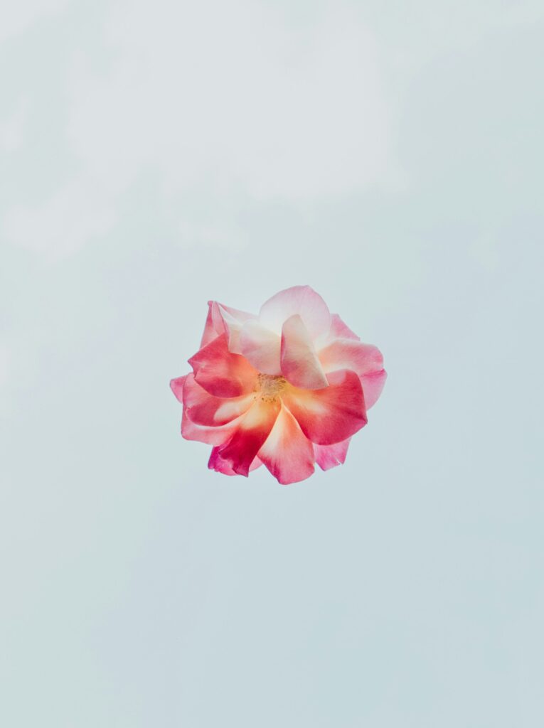 evie-s-w1JE5duY62M-unsplash