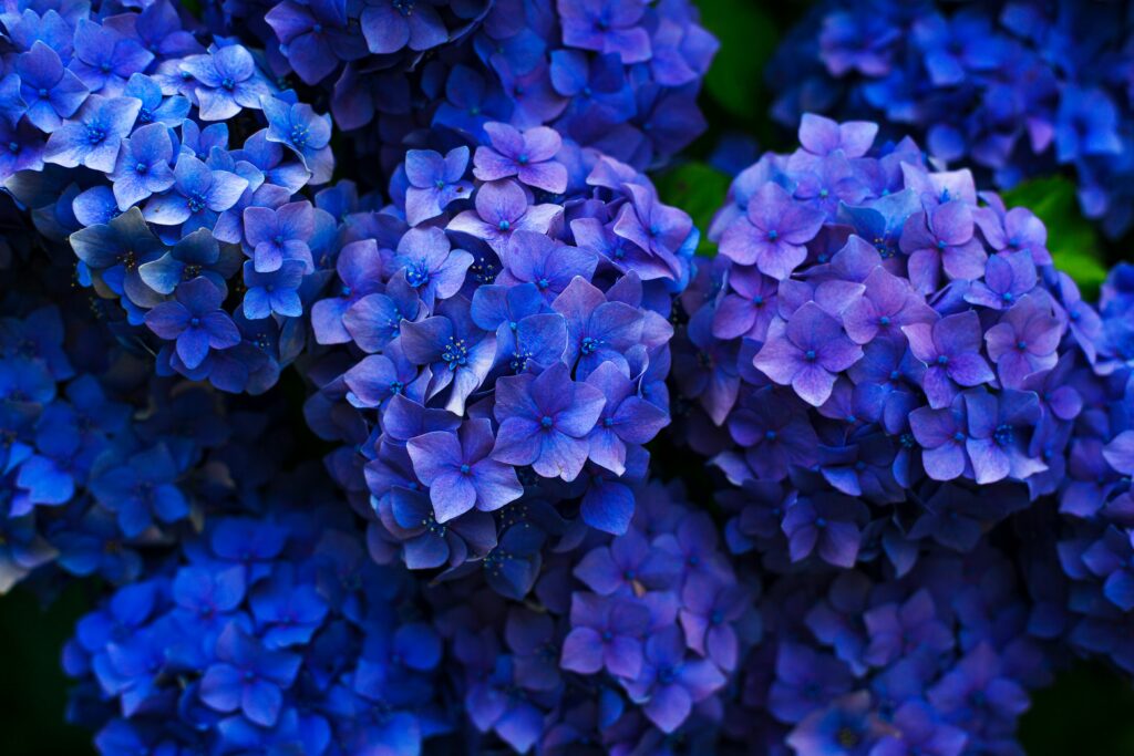 gaetano-cessati-CCy2UFLO1Mg-unsplash