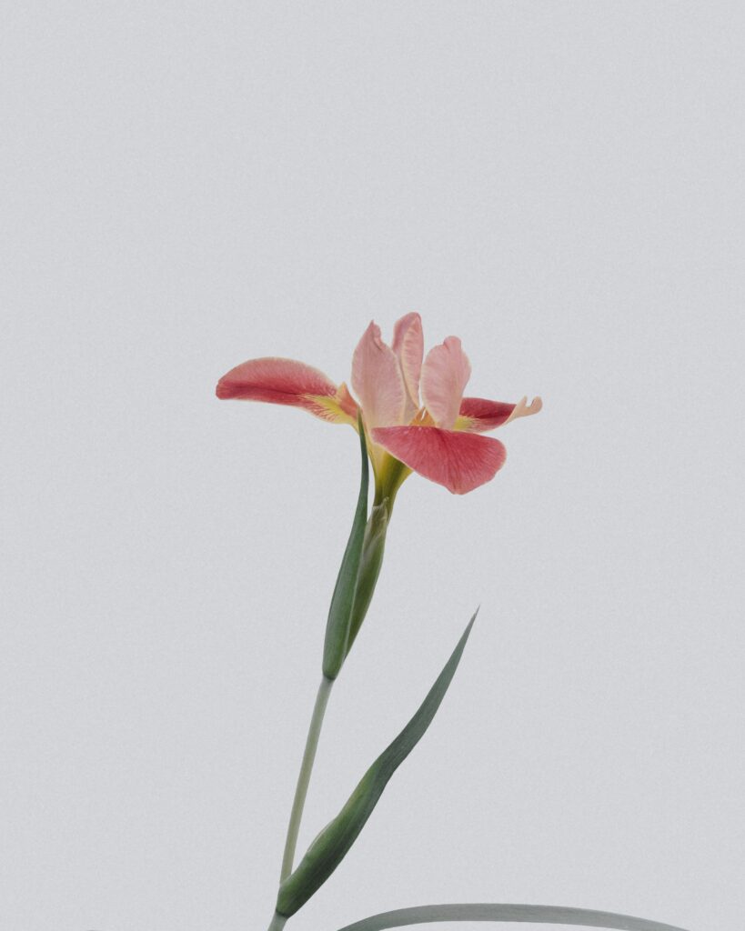 han-chenxu-YdAqiUkUoWA-unsplash