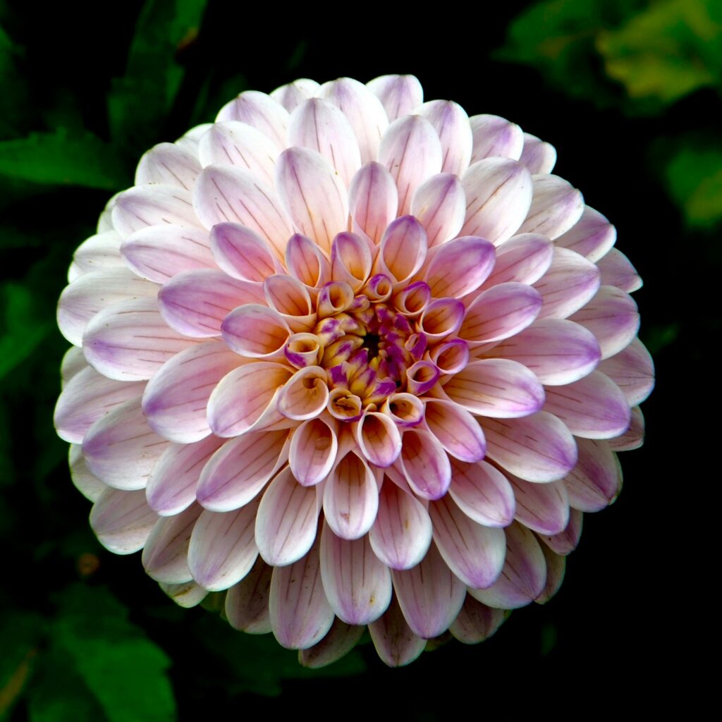 tavin-WC4IWN3-fSo-unsplash